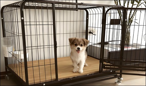 Foldable Wire Mesh Kennel Cages