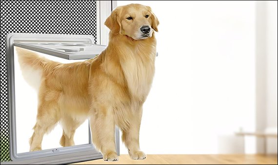 Pet Screen Mesh